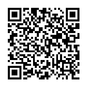 我就已经命令驻英公使在同英国海军洽谈增购巡洋舰的事宜二维码生成