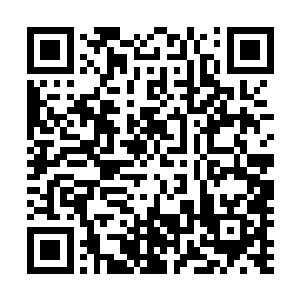 我就开始按照鲲鹏定位社稷图气息来破坏隐藏着他的能量云二维码生成