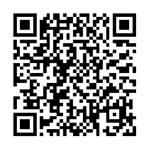 我就恨不得把人世界所有的美好都送到她眼前了二维码生成