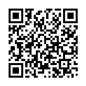 我就想到了让它跟你在一起起码有个伴二维码生成