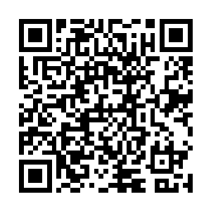 我就意识到我和自己创造的这个小泥球表面生存的小小二维码生成