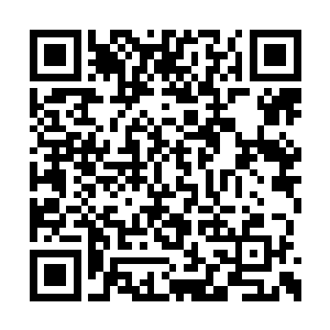 我就感觉到了奇怪的大阵能量在左右这里的仙气二维码生成