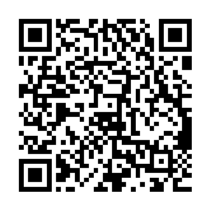 我就感觉自己低垂在袖中的冰冷的指尖落入了一只温暖大手里二维码生成