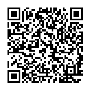 我就是临海市那个世代卖茶叶蛋张家的后人从小我就受家族的栽赔二维码生成