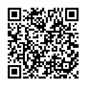 我就是在思索……到底是哪个项目具有这种特性二维码生成