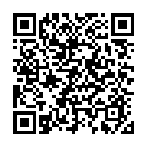 我就是在里面吃了那个半固态半液态的东西才突破得如此快二维码生成