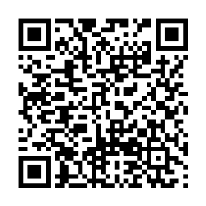 我就是怕万一小姐向夫人询问舅老爷家回信的事情二维码生成