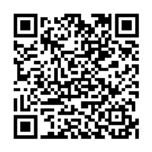 我就是想将狗皇帝跟宋怀瑾当年做的事公布天下二维码生成