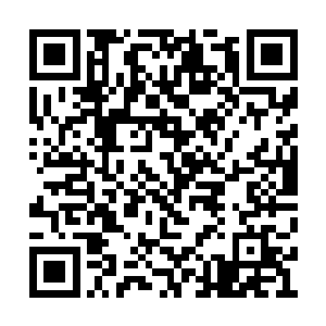 我就是想看看你们月华学院的人各自背叛的场景二维码生成