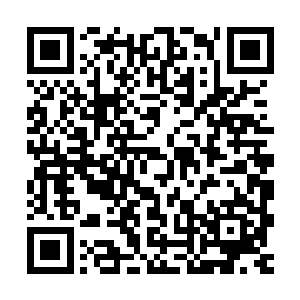 我就是觉得你修炼老是法力反噬把自己给弄的受伤不是长久之计二维码生成