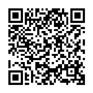我就没有过多余力去进行关注了……我连他们的id都来不及检索二维码生成