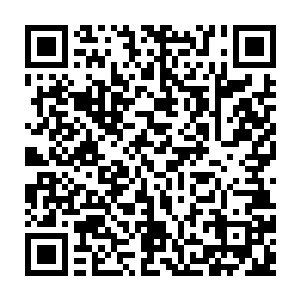 我就看见了站在门口的蒋美媛肖天还有几个穿着西服类似司机跟保镖一样的壮汉二维码生成