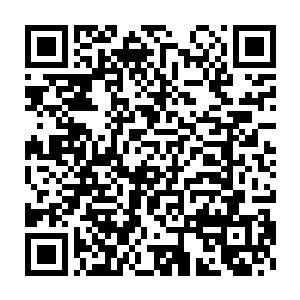 我就知道你们背着我偷偷吃东西我果然聪明绝顶你们绝对骗不了我二维码生成