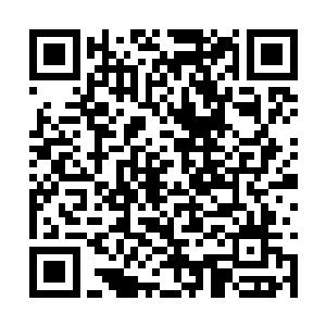 我就知道影子这个潘森选出来就是用来针对中路的二维码生成