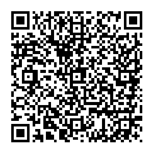 我就能对自己感到满意――我觉得我应该停止把萨尔维当作一个理想的自己看待――其实这对他不太尊重二维码生成