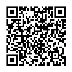我就让天一道留在这里的精英来尝试使用纳灵法的衍脉石二维码生成