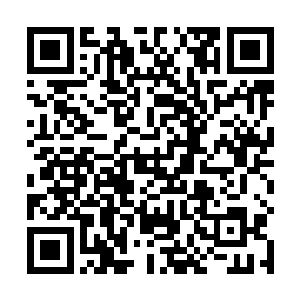 我就说是你对我威逼利诱差点拳头相向才争取到的福利二维码生成