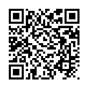 我就这么跟着阿尔法一起加快速度走二维码生成