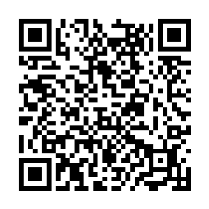 我就隐约觉得禁锢仙道流的灵魂似乎太过于简单了二维码生成
