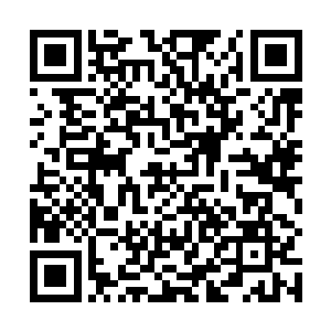 我就骗她在普吉岛享受那里的嘉年华……你不会怪我吧二维码生成