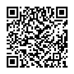 我居然做了一个让我自己都完全没有想到的动作二维码生成