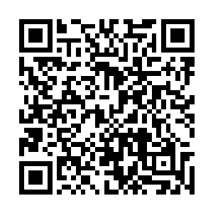 我居然看到这个塔里面全是被冰冻起来的人或动物二维码生成