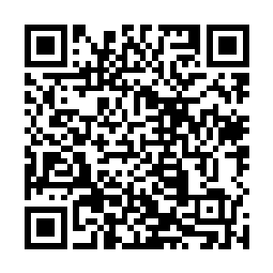 我居然看见一个鸡蛋一般大的尸虫从她的嘴里掉了出来二维码生成