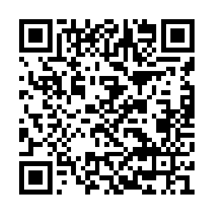 我居然真的遇到了一个差点把自己饿死的觉醒者二维码生成