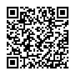 我居然让你如此辛苦地爱了我十几年而毫无反应二维码生成