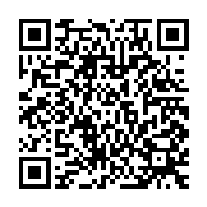 我己经到这里满打满算快一年半了还是第一次看到这样的景像二维码生成
