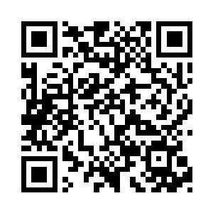 我已经发动整个布鲁克区的手下去找那个人了二维码生成