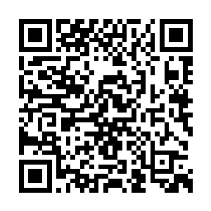 我已经和刚来的寒仙山掌门莫寒仙商量过这件事二维码生成