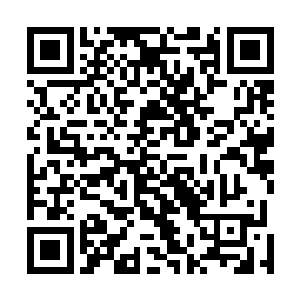 我已经安排了堡主大人吃完早餐后和那些年轻人见上一面二维码生成