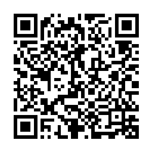 我已经将改造陨石带的工程交给青木星林雨麾下的建筑队负责了二维码生成