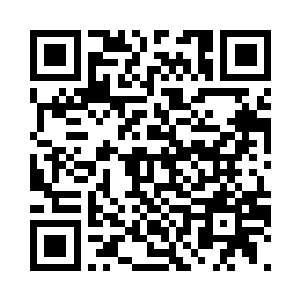 我已经帮他们所有人弄到了新的身份二维码生成