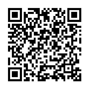 我已经很久没有看见你这样冷静而又疯狂的年青人了……二维码生成