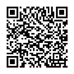 我已经恢复了一些意识――我说让你把我放下来二维码生成