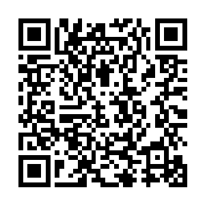 我已经找打了一份工作……待遇非常好……你告诉妈妈二维码生成