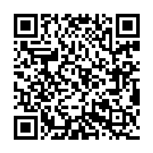 我已经把黄师兄交给我的东西交给了咱们天龙宗的玄家之人二维码生成