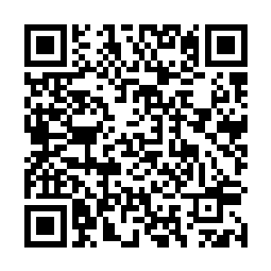 我已经指示公司副总亲自去和李老太的家属谈赔偿问题二维码生成