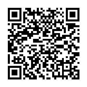 我已经是赤金镇方圆五百里内首屈一指的天才拳手二维码生成