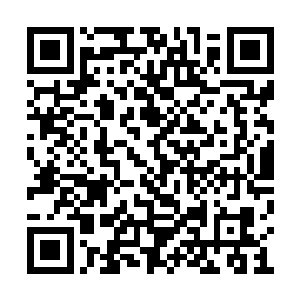 我已经派了人去神医谷外面及周围监视与查看了二维码生成