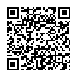 我已经让人去查了……发现你院子里的佣人都不见了……二维码生成