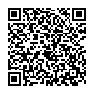 我已经让庄园的厨师准备了小姐最爱的云罗宴给小姐和崔公子接风……二维码生成