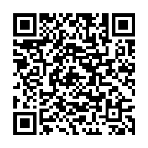 我已经过了最开始时想做一个大先生的焦躁阶段了二维码生成