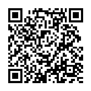 我希望你也参加――或者你能帮我排练一下我的说辞那就更好了二维码生成