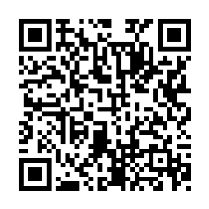 我希望你们两个小青年能够通过这件事吸取教训二维码生成