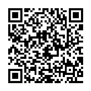 我希望你们将来的时候也能够为了国家的富强和强大而添砖加瓦二维码生成