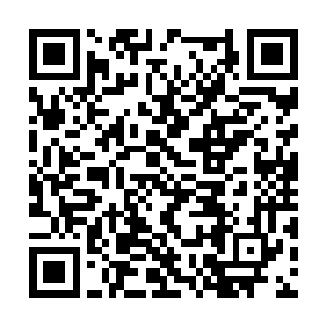 我希望你或者其余管理层对此事不要发表任何意见二维码生成