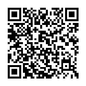 我希望你能够尽可能的提升一下自己的武道境界二维码生成